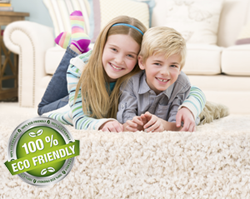 green carpet cleaning